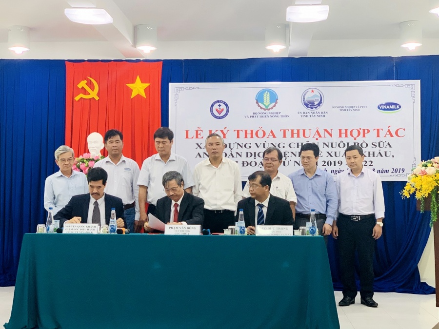 resort bo sua tay ninh la hat nhan de xay dung vung chan nuoi bo sua an toan dich benh