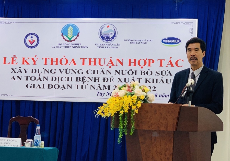 resort bo sua tay ninh la hat nhan de xay dung vung chan nuoi bo sua an toan dich benh