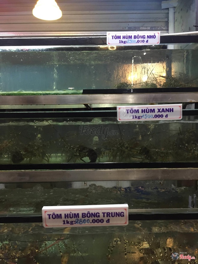 bi to chat chem du khach quan ly nha hang o da nang len tieng ve hoa don hai san hon 85 trieu dong
