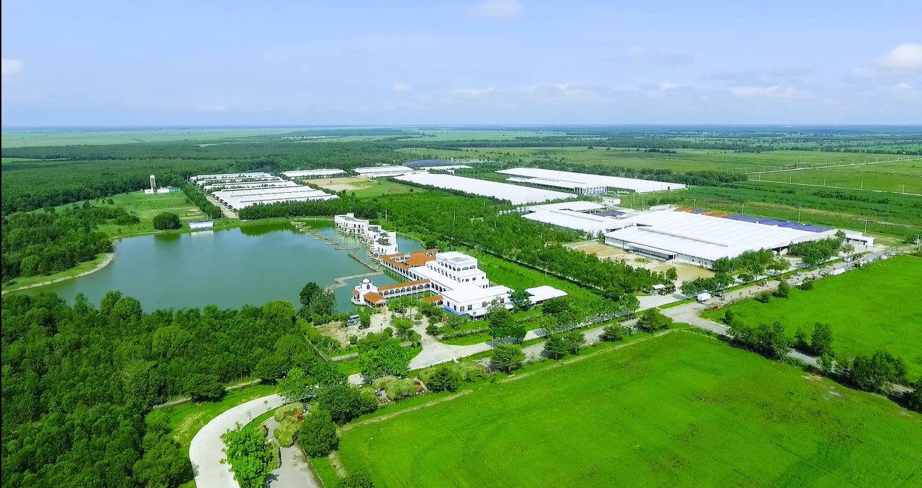 vinamilk lot top 200 cong ty co doanh thu ty do tot nhat chau a thai binh duong