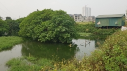 hang loat du an thu hoi dat khien nguoi dan ngo ngac