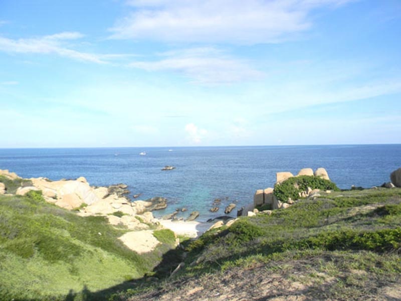 kiem diem trach nhiem trong viec khu bao ton hon cau bi chong lan dien tich