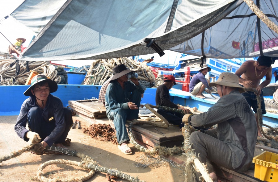 vuon khoi bam bien gap kho vi thieu hut lao dong