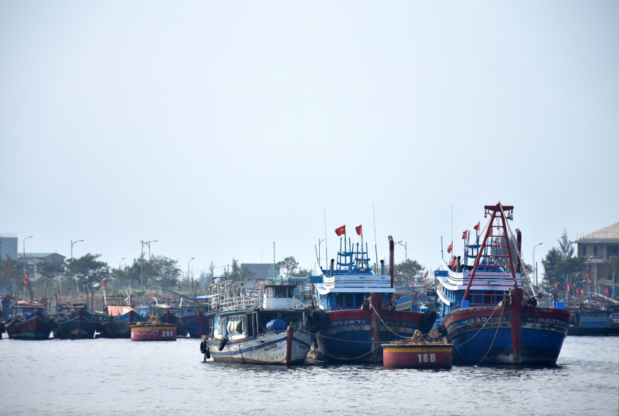 vuon khoi bam bien gap kho vi thieu hut lao dong