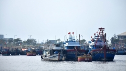 net dep say long dua hoi an tro thanh diem den so mot the gioi