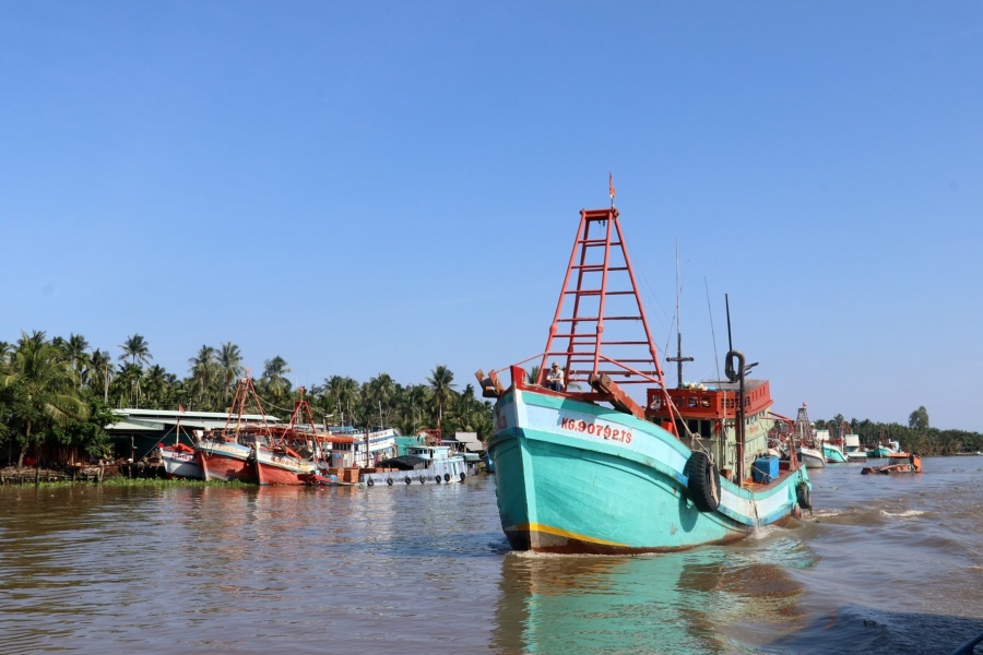 ngu dan can tuan thu nghiem quy dinh de khac phuc the vang iuu trong thang 102019