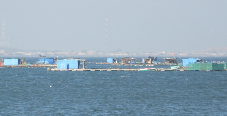 ninh thuan kien quyet di doi long be nuoi thuy san an ngu bai bien binh son