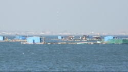 net dep say long dua hoi an tro thanh diem den so mot the gioi