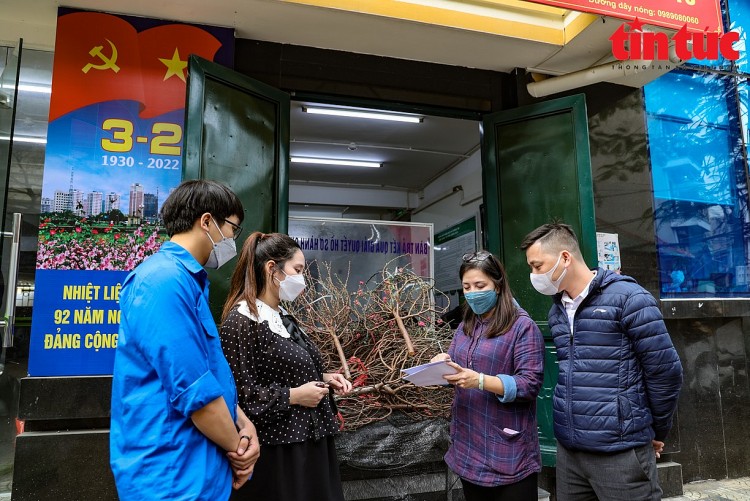 Hà Nội: Mang đào Tết đến tận nhà cho các F0 Hà Nội: Mang đào Tết đến tận nhà cho các F0