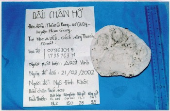 Cơ hội nào cho loài hổ?
