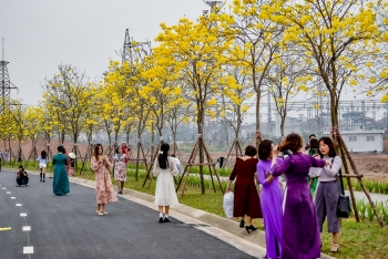 hang nghin chiec chuong vang rung rinh trong nang xuan ha noi