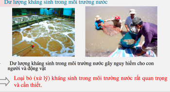 tu phe thai nong nghiep sinh vien nghien cuu thanh cong trinh khoa hoc ung dung cao