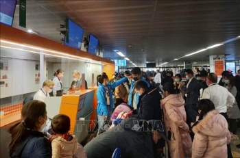 Bừng sáng tinh thần tình nguyện nơi trời Âu