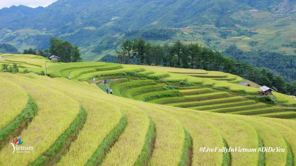 Những thửa ruộng bậc thang trập trùng.