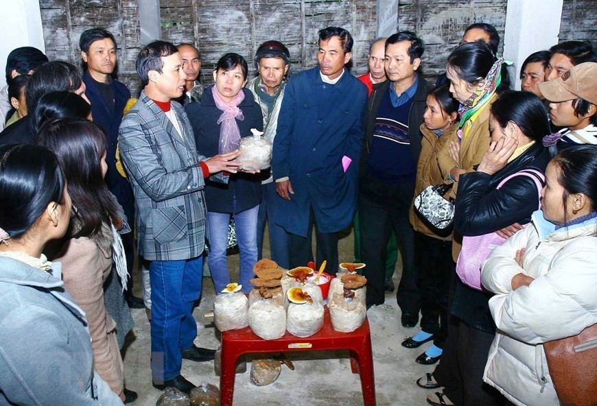 [Photo] Sớm đưa Việt Nam trở thành quốc gia không còn bom mìn | Xã hội | Vietnam+ (VietnamPlus)