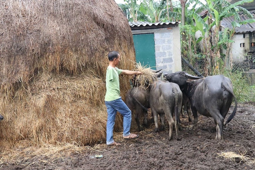 [Photo] Sớm đưa Việt Nam trở thành quốc gia không còn bom mìn | Xã hội | Vietnam+ (VietnamPlus)