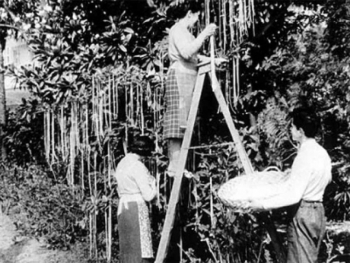 Ngày Cá tháng Tư và những cú lừa lịch sử