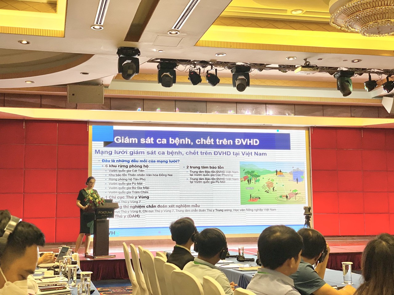 Tại hội thảo, các đại biểu đã thảo luận, chia sẻ kinh nghiệm và hiểu biết từ việc tích cực tham gia vào mạng lưới giám sát sức khỏe ĐVHD. Ảnh: Hạnh Trần