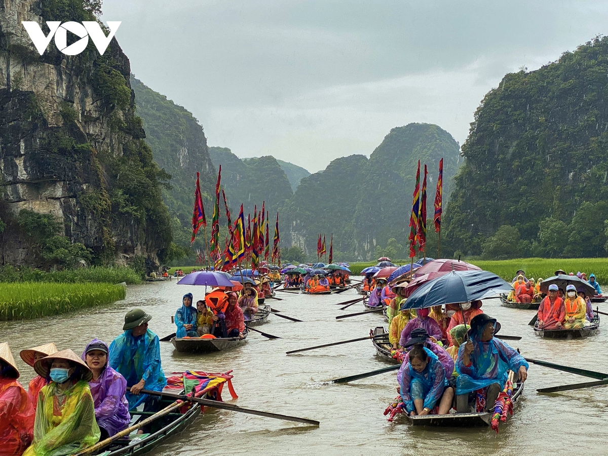 Hàng nghìn du khách đội mưa ngắm lúa trong ngày khai hội 