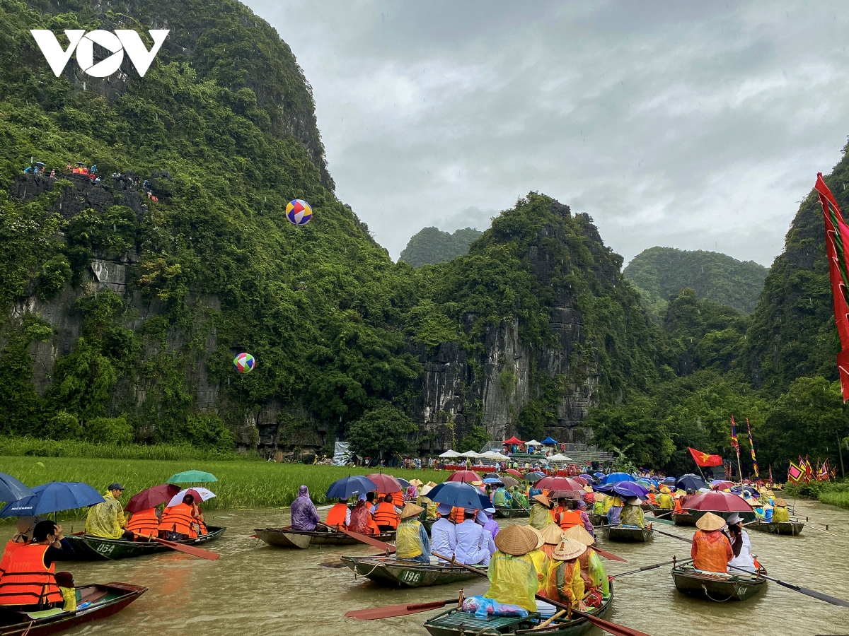 Hàng nghìn du khách đội mưa ngắm lúa trong ngày khai hội 