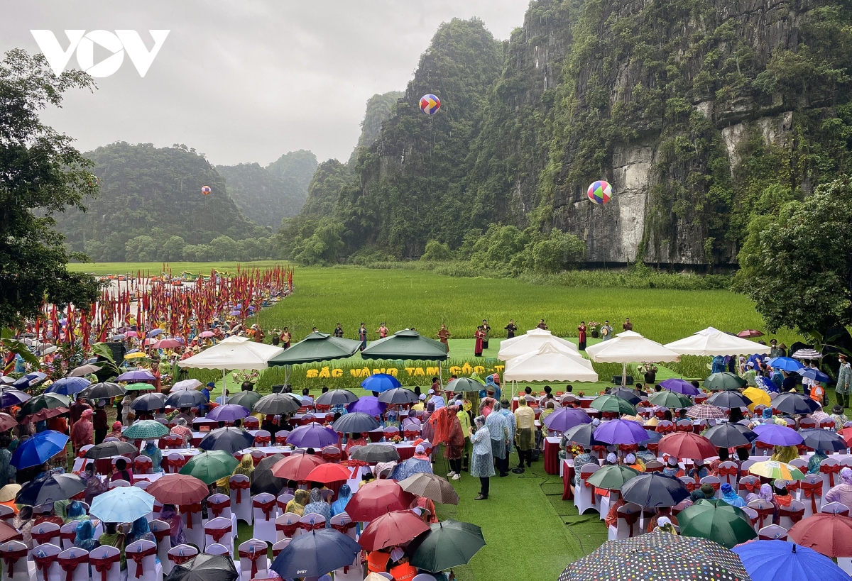 Hàng nghìn du khách đội mưa ngắm lúa trong ngày khai hội 