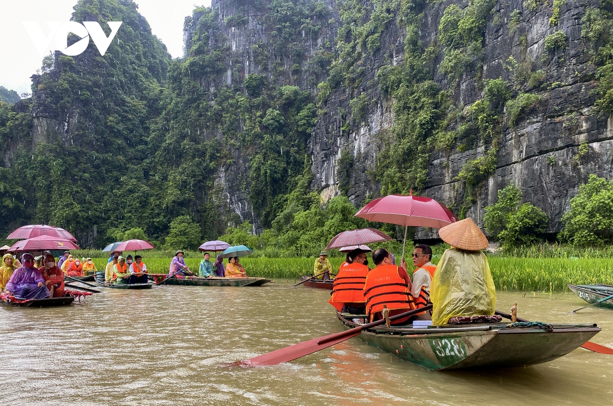 Hàng nghìn du khách đội mưa ngắm lúa trong ngày khai hội 