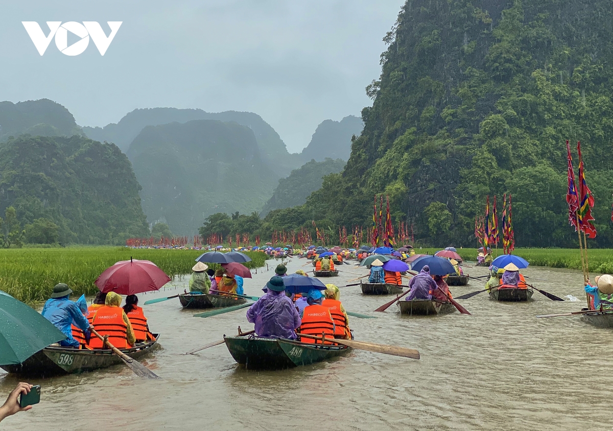 Hàng nghìn du khách đội mưa ngắm lúa trong ngày khai hội 