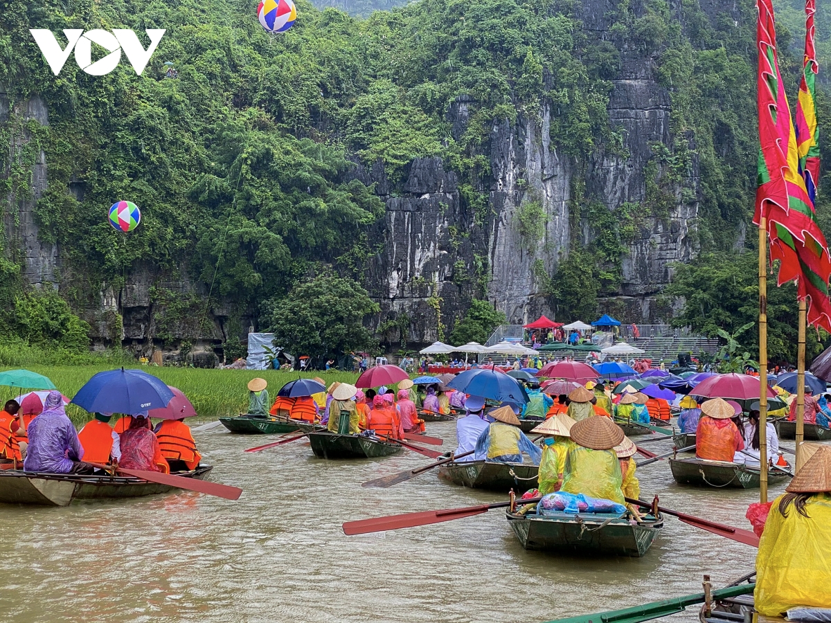 Hàng nghìn du khách đội mưa ngắm lúa trong ngày khai hội 