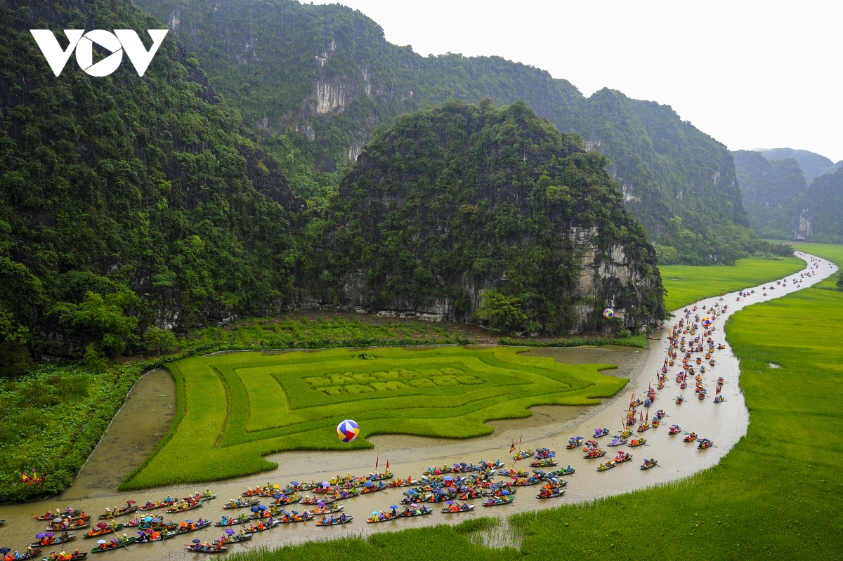 Hàng nghìn du khách đội mưa ngắm lúa trong ngày khai hội 