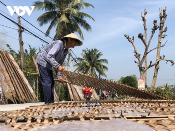 Làng nghề bánh tráng hơn 200 năm trở thành Di sản văn hóa phi vật thể quốc gia