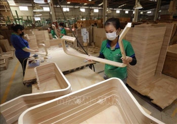 Ngành gỗ ứng phó trước nguy cơ gia tăng phòng vệ thương mại