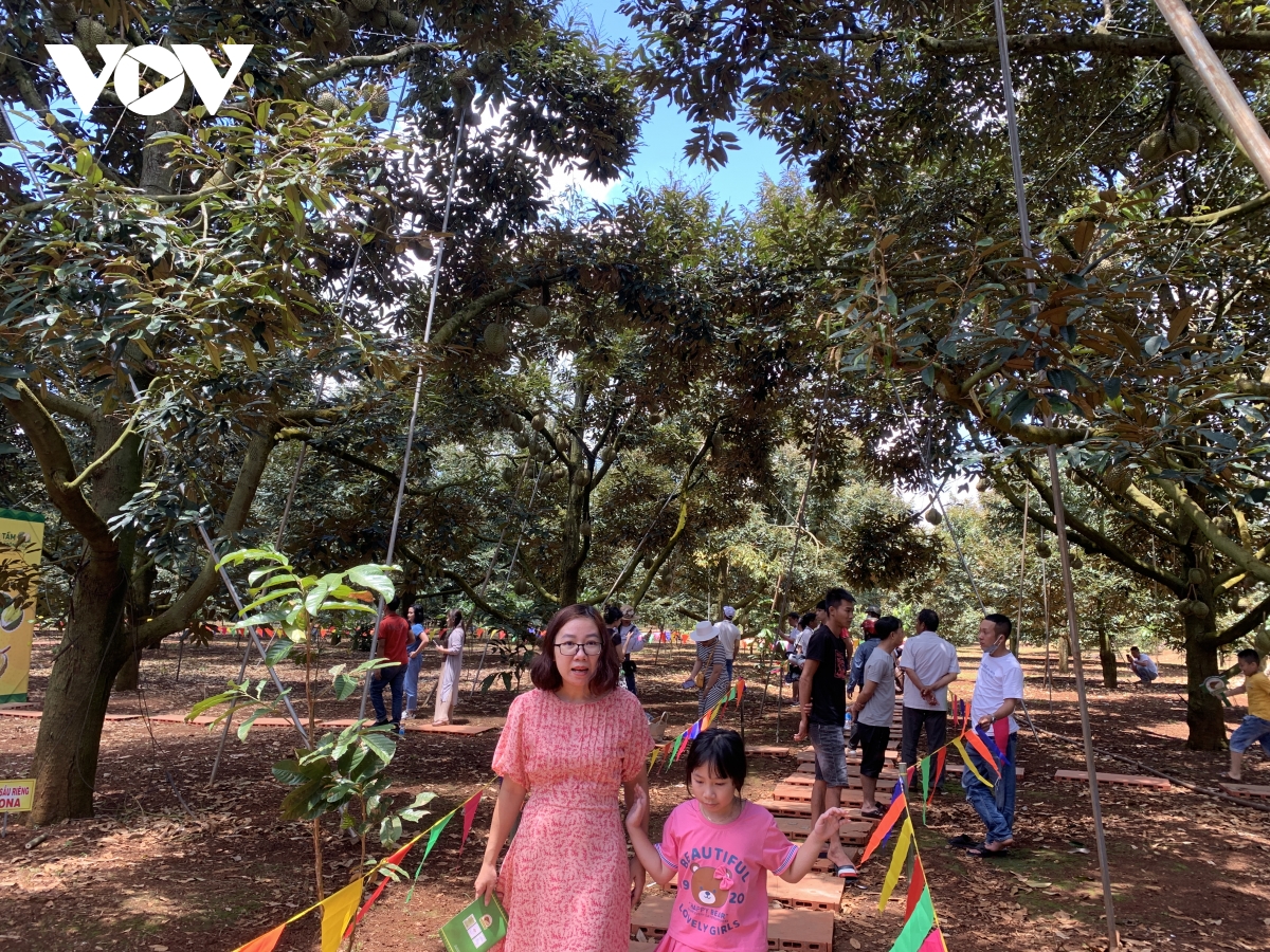 le hoi sau rieng prong pak thu hut nguoi dan va du khach hinh anh 1