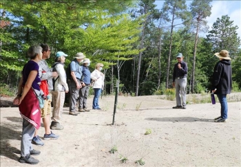 tai tao doi cat giua long thu do canada du an tao bao cua mot tien si goc viet