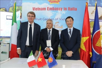 nam giai phap thuc day thuong mai viet nam italy