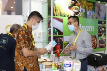 viet nam tham du hoi cho quoc te ve thuc pham va do uong tai indonesia