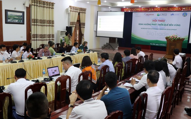 Quang cảnh hội thảo (Ảnh: Báo Yên Bái online)