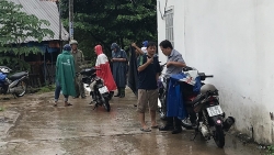 Phong tỏa đàn lợn hơn 70 con vì nghi bị dịch tả lợn Châu Phi