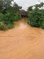 Giải cứu 6 người bị mắc kẹt trong lũ suốt 5 giờ ở Đồng Nai
