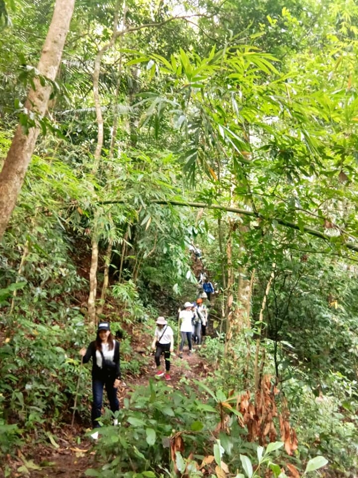 thanh nien viet nam nhat ban chung tay to tham tinh huu nghi