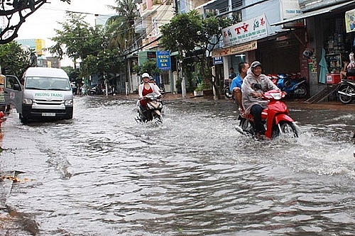 trieu cuong o tphcm se dat dinh 17 m ngay 2910
