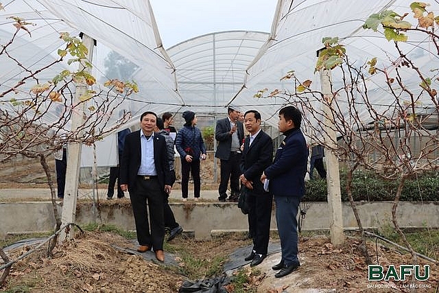 Đại học Nông-Lâm Bắc Giang chú trọng hợp tác với các trường Trung Quốc