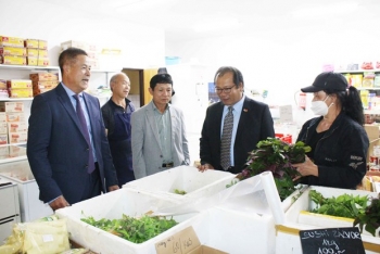 Người Việt tại Cộng hòa Séc đoàn kết vượt qua đại dịch COVID-19