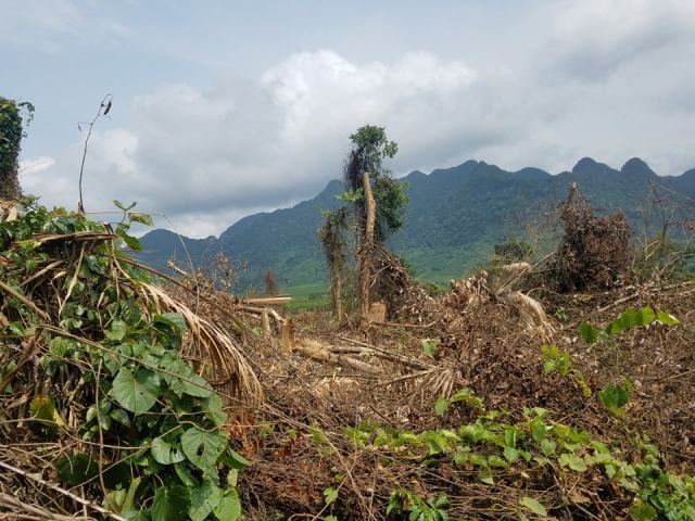 rung tu nhien o quang binh lien tuc bi chay mau