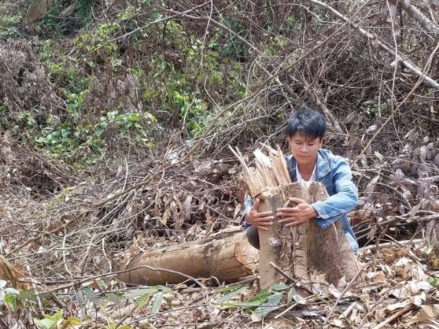 rung tu nhien o quang binh lien tuc bi chay mau