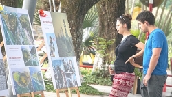 Triển lãm ảnh nghệ thuật “Biển, đảo quê hương” tại Cố đô Huế