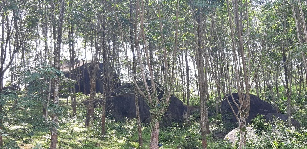lien bang duc tai tro hon 47 ty dong de bao ton da dang sinh hoc rung tai hue