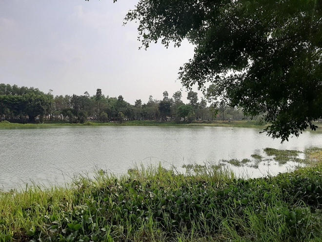tin tuc trong ngay 172 van dong 192 nguoi roi khoi xa son loi quay lai dia phuong