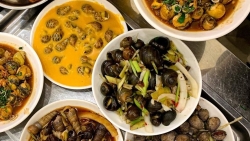 den dao nam du tam bien va thuong thuc nhieu dac san noi tieng