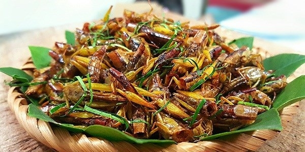yen bai mu cang chai tran ngap dac san hap dan va thom ngon