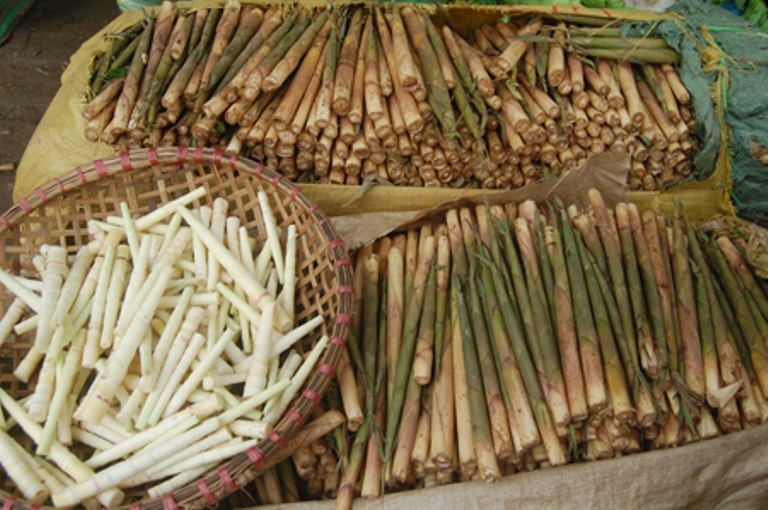 yen bai mu cang chai tran ngap dac san hap dan va thom ngon